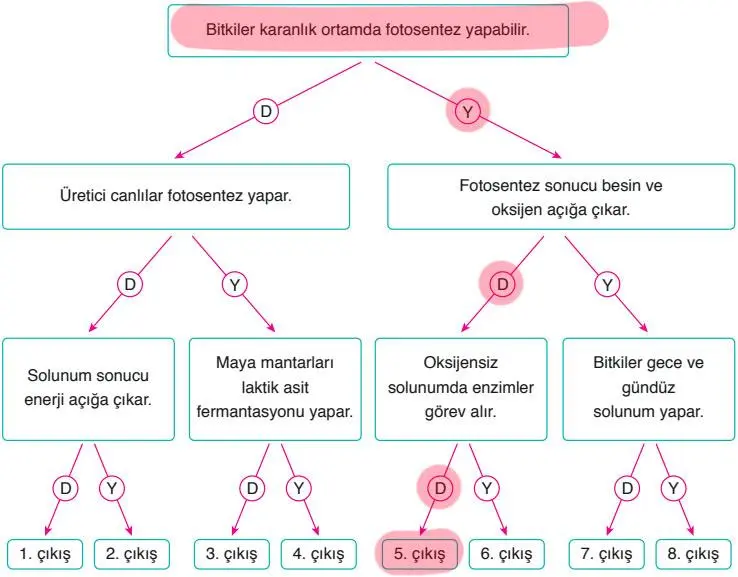 8. Sınıf Fen Bilimleri Ders Kitabı Sayfa 196-197-201-202. Cevapları ATA Yayıncılık 8. Sınıf Fen Bilimleri Ders Kitabı Sayfa 201 Cevapları ATA Yayıncılık
