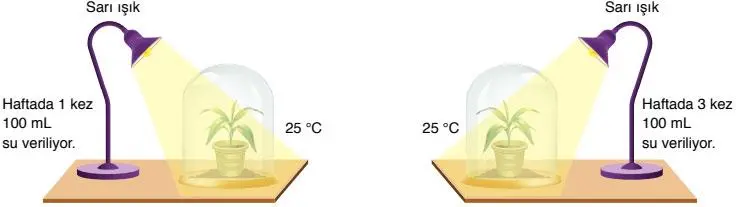 8. Sınıf Fen Bilimleri Ders Kitabı Sayfa 196-197-201-202. Cevapları ATA Yayıncılık 8. Sınıf Fen Bilimleri Ders Kitabı Sayfa 201 Cevapları ATA Yayıncılık