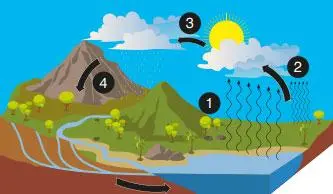 8. Sınıf Fen Bilimleri Ders Kitabı Sayfa 211 Cevapları ATA Yayıncılık