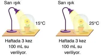 8. Sınıf Fen Bilimleri Ders Kitabı Sayfa 222 Cevapları ATA Yayıncılık