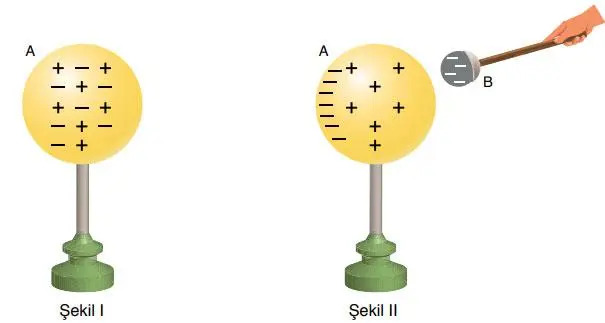 8. Sınıf Fen Bilimleri Ders Kitabı Sayfa 232 Cevapları ATA Yayıncılık