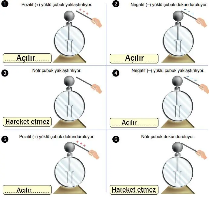 8. Sınıf Fen Bilimleri Ders Kitabı Sayfa 238 Cevapları ATA Yayıncılık