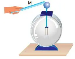 8. Sınıf Fen Bilimleri Ders Kitabı Sayfa 239 Cevapları ATA Yayıncılık