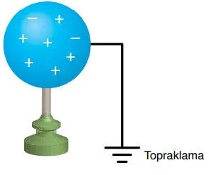 8. Sınıf Fen Bilimleri Ders Kitabı Sayfa 239 Cevapları ATA Yayıncılık
