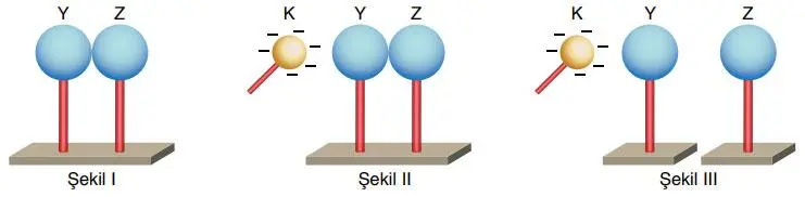 8. Sınıf Fen Bilimleri Ders Kitabı Sayfa 253 Cevapları ATA Yayıncılık