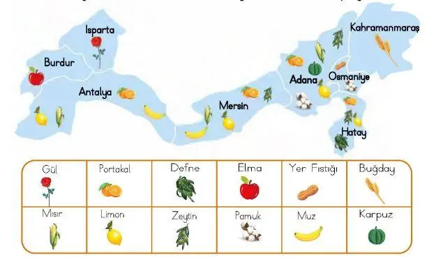 4. Sınıf Türkçe Ders Kitabı Sayfa 191 Cevapları MEB Yayınları