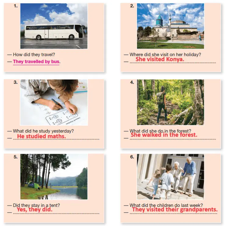 6. Sınıf İngilizce Ders Kitabı Sayfa 113-114-115-116-117-118-119. Cevapları Hecce Yayıncılık 6. Sınıf İngilizce Ders Kitabı Cevapları Sayfa 117 Hecce Yayıncılık1