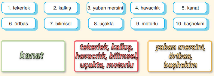 6. Sınıf Türkçe Ders Kitabı Sayfa 153 Cevapları ANKA Yayınevi