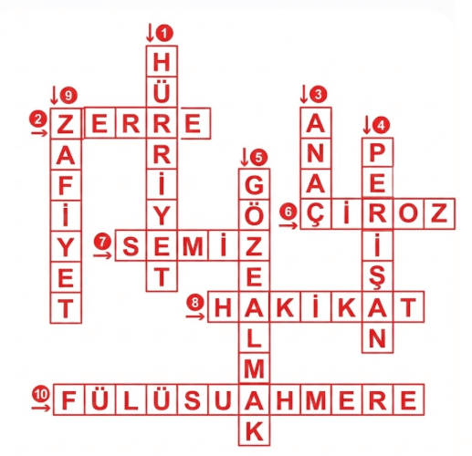 8.Sınıf Türkçe Ders Kitabı Sayfa 184 Cevapları 8.Sınıf Türkçe Ders Kitabı Sayfa 184 Cevapları
