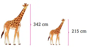 3. Sınıf Matematik Ders Kitabı Sayfa 266 Cevapları Ekoyay Yayıncılık