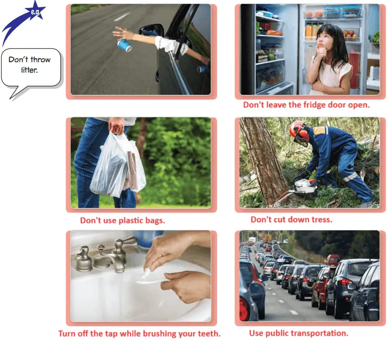 6. Sınıf İngilizce Ders Kitabı Cevapları Sayfa 142 Hecce Yayıncılık