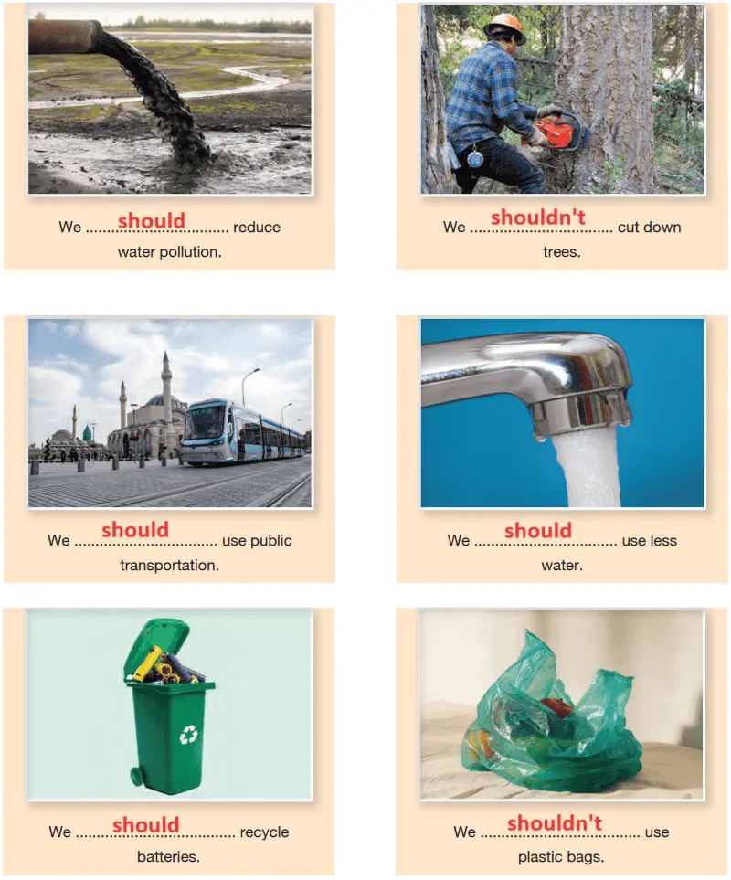 6. Sınıf İngilizce Ders Kitabı Cevapları Sayfa 144 Hecce Yayıncılık