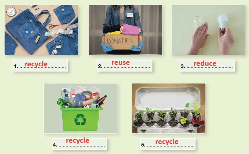 6. Sınıf İngilizce Ders Kitabı Cevapları Sayfa 147 Hecce Yayıncılık