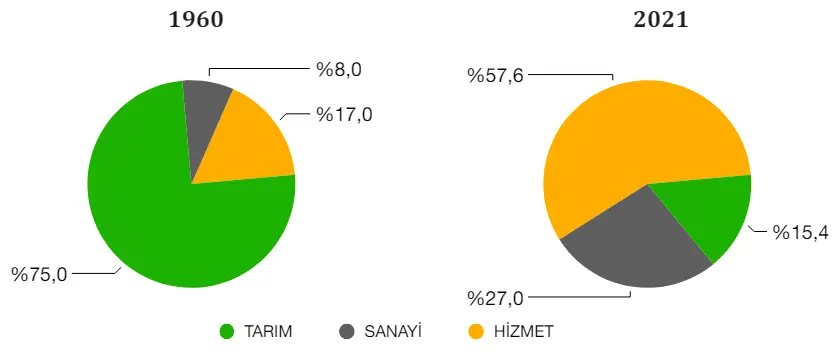 10. Sınıf Coğrafya Ders Kitabı Sayfa 184 Cevapları MEB Yayınları