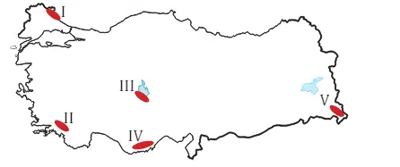 10. Sınıf Coğrafya Ders Kitabı 186-187-188-189-190-191. Sayfa Cevapları MEB Yayınları 10. Sınıf Coğrafya Ders Kitabı Sayfa 190 Cevapları MEB Yayınları 2