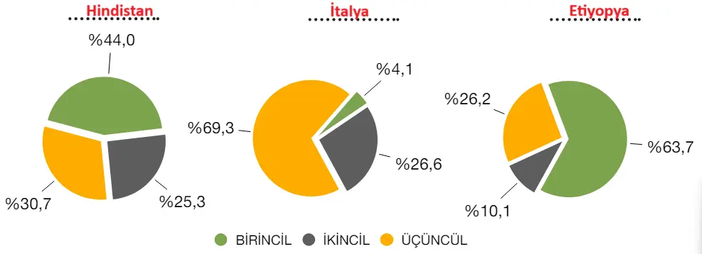 10. Sınıf Coğrafya Ders Kitabı Sayfa 219 Cevapları MEB Yayınları