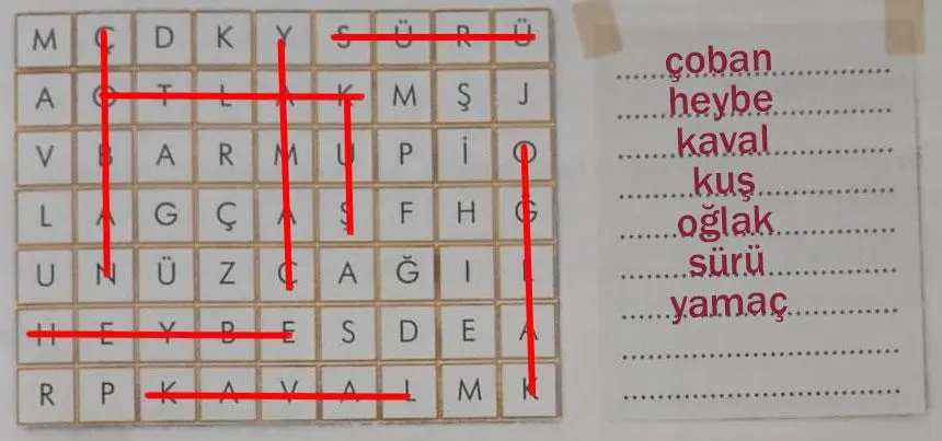 3. Sınıf Türkçe Ders Kitabı Sayfa 43 Cevapları İlke Yayıncılık