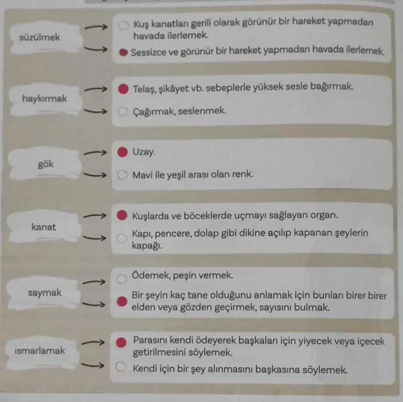 5. Sınıf Türkçe Ders Kitabı Sayfa 56 Cevapları MEB Yayınları