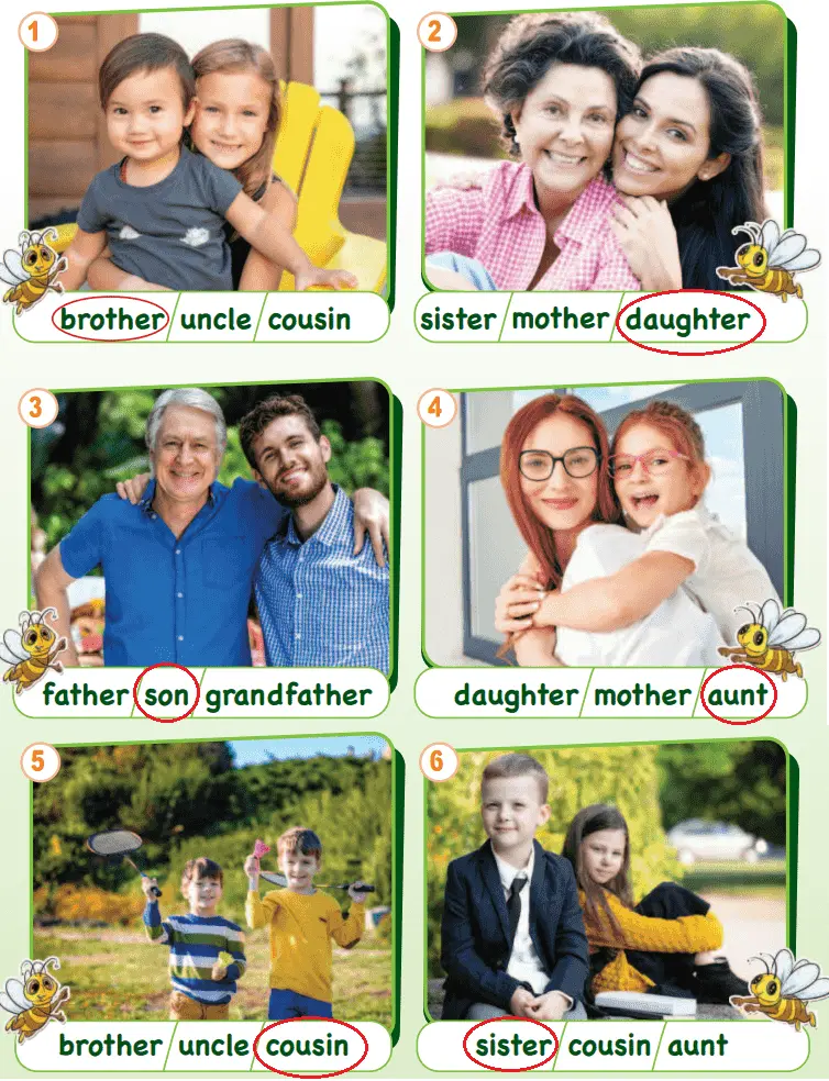 3. Sınıf İngilizce Ders Kitabı 30-31-32-33-34-35-36-37. Sayfa Cevapları SDR Dikey Yayıncılık 3. Sınıf İngilizce Ders Kitabı Sayfa 33 Cevapları SDR Dikey Yayıncılık