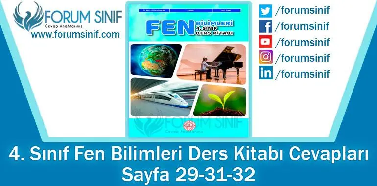 4. Sınıf Fen Bilimleri Ders Kitabı 29-31-32. Sayfa Cevapları MEB Yayınları