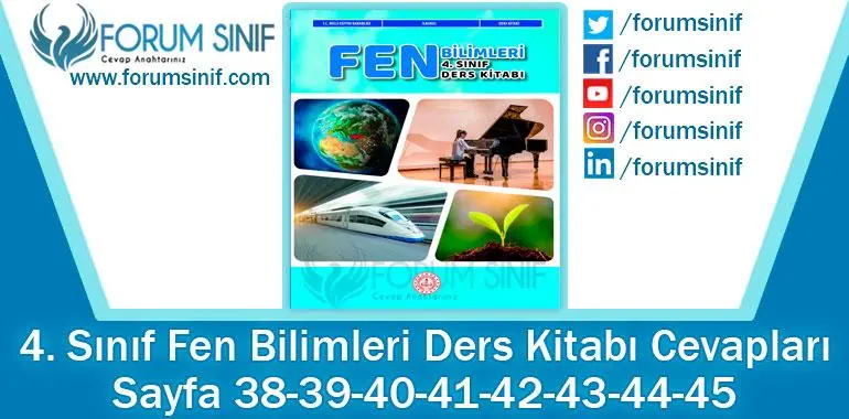 4. Sınıf Fen Bilimleri Ders Kitabı 38-39-40-41-42-43-44-45. Sayfa Cevapları MEB Yayınları