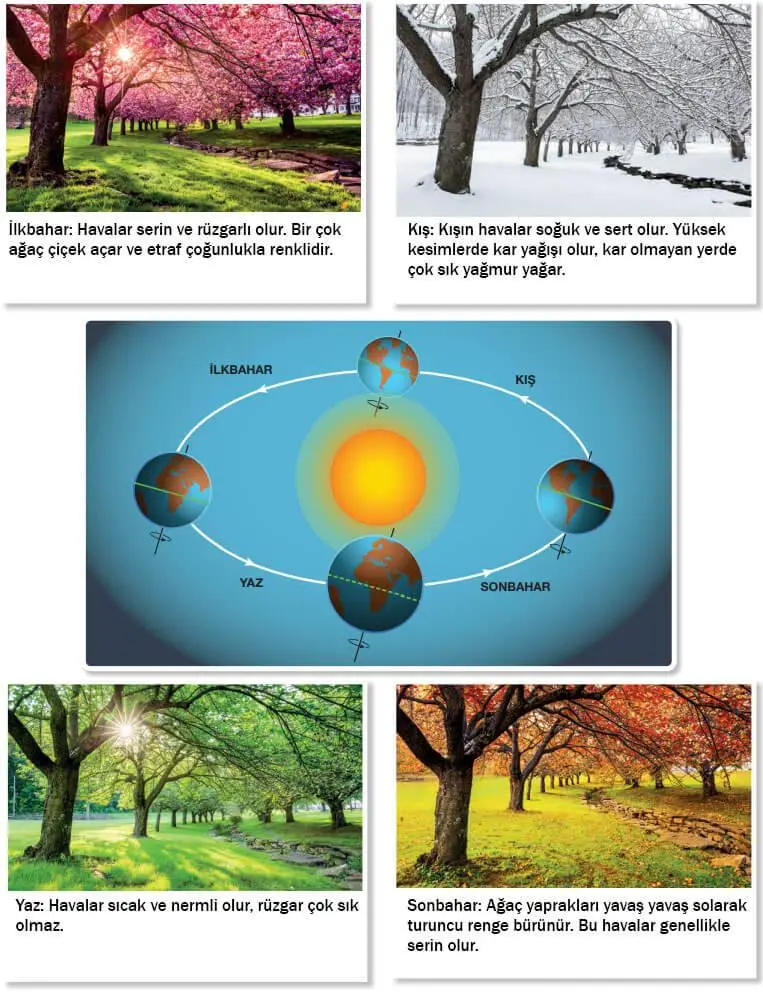 4. Sınıf Fen Bilimleri Ders Kitabı Sayfa 39-44-46-47-48-49 Cevapları Pasifik Yayıncılık 4. Sınıf Fen Bilimleri Ders Kitabı Sayfa 46 Cevapları Pasifik Yayıncılık