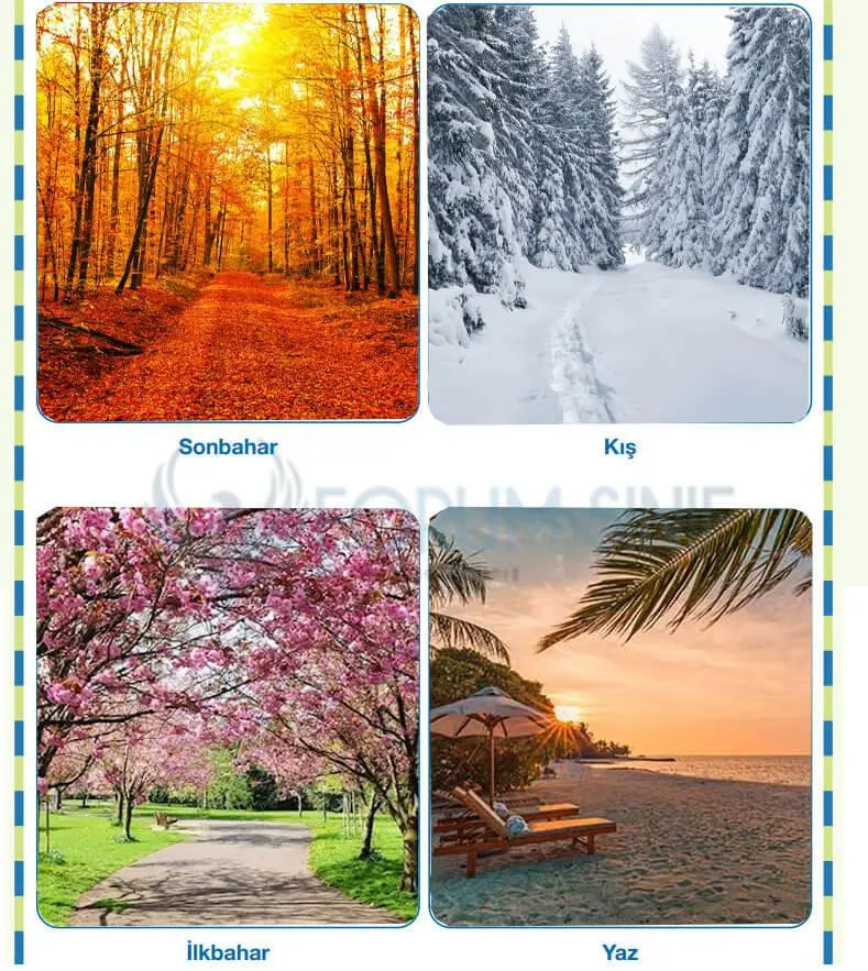 4. Sınıf Fen Bilimleri Ders Kitabı Sayfa 39-44-46-47-48-49 Cevapları Pasifik Yayıncılık 4. Sınıf Fen Bilimleri Ders Kitabı Sayfa 49 Cevapları