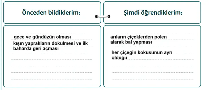 5. Sınıf Din Kültürü Ders Kitabı Sayfa 22 Cevapları MEB 2