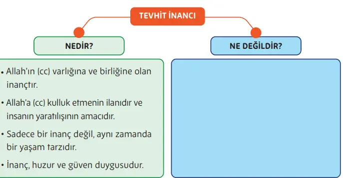 5. Sınıf Din Kültürü Ders Kitabı Sayfa 51-52-53-54-55-56. Cevapları MEB Yayınları 5. Sınıf Din Kültürü Ders Kitabı Sayfa 56 Cevapları MEB Yayınları