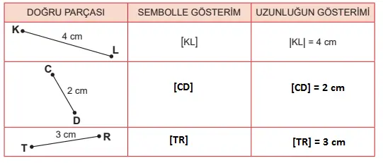 5. Sınıf Matematik Ders Kitabı Sayfa 22 Cevapları MEB Yayınları