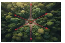 5. Sınıf Matematik Ders Kitabı Sayfa 52 Cevapları MEB Yayınları