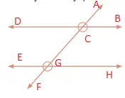 5. Sınıf Matematik Ders Kitabı Sayfa 56 Cevapları MEB Yayınları