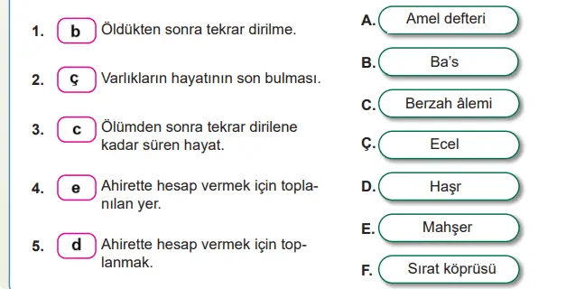 7. Sınıf Din Kültürü Ders Kitabı Sayfa 24 Cevapları MEB Yayınları