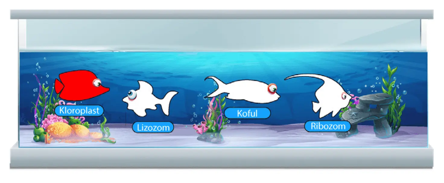 7. Sınıf Fen Bilimleri Ders Kitabı Sayfa 46-47-50-51-52-53-54-55. Cevapları MEB Yayınları 7. Sınıf Fen Bilimleri Ders Kitabı Sayfa 54 Cevapları MEB Yayınları2