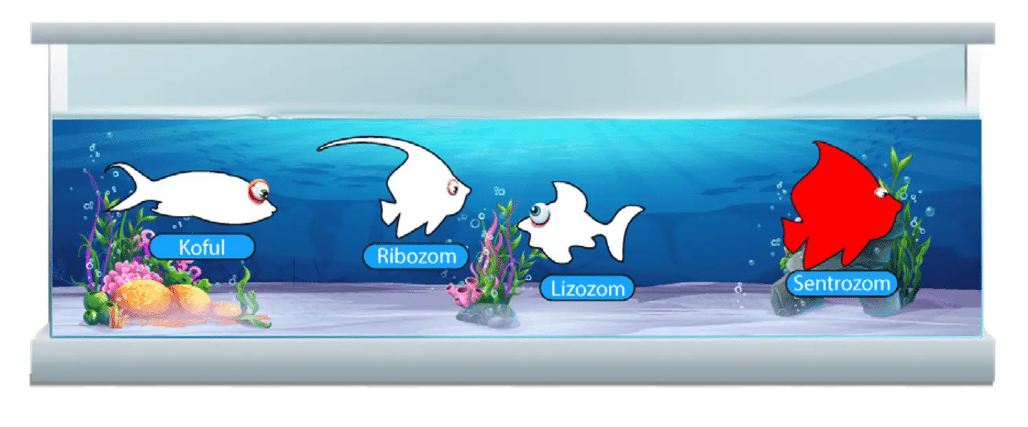 7. Sınıf Fen Bilimleri Ders Kitabı Sayfa 46-47-50-51-52-53-54-55. Cevapları MEB Yayınları 7. Sınıf Fen Bilimleri Ders Kitabı Sayfa 54 Cevapları MEB Yayınları3