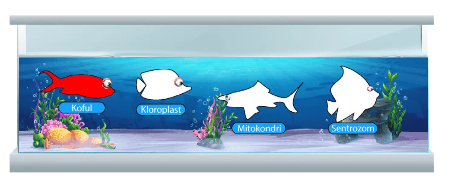 7. Sınıf Fen Bilimleri Ders Kitabı Sayfa 46-47-50-51-52-53-54-55. Cevapları MEB Yayınları 7. Sınıf Fen Bilimleri Ders Kitabı Sayfa 55 Cevapları MEB Yayınları2