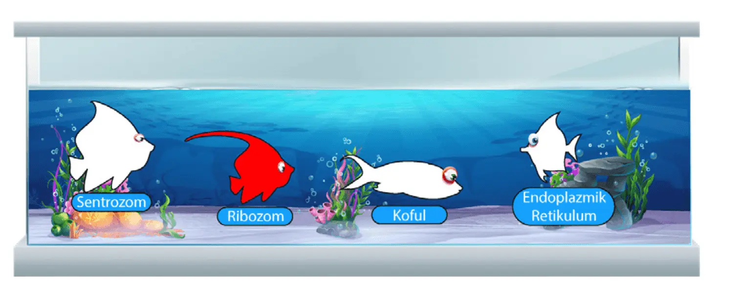 7. Sınıf Fen Bilimleri Ders Kitabı Sayfa 46-47-50-51-52-53-54-55. Cevapları MEB Yayınları 7. Sınıf Fen Bilimleri Ders Kitabı Sayfa 55 Cevapları MEB Yayınları3