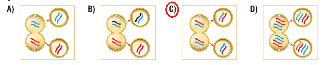 7. Sınıf Fen Bilimleri Ders Kitabı Sayfa 72 Cevapları MEB Yayınları1
