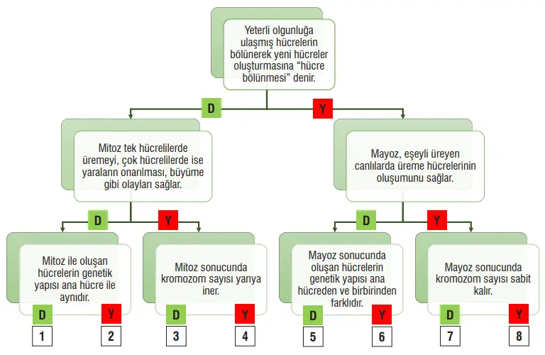 7. Sınıf Fen Bilimleri Ders Kitabı Sayfa 72 Cevapları MEB Yayınları2