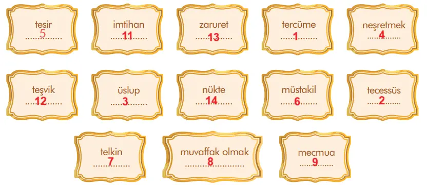 7. Sınıf Türkçe Ders Kitabı Sayfa 22 Cevapları MEB Yayınları