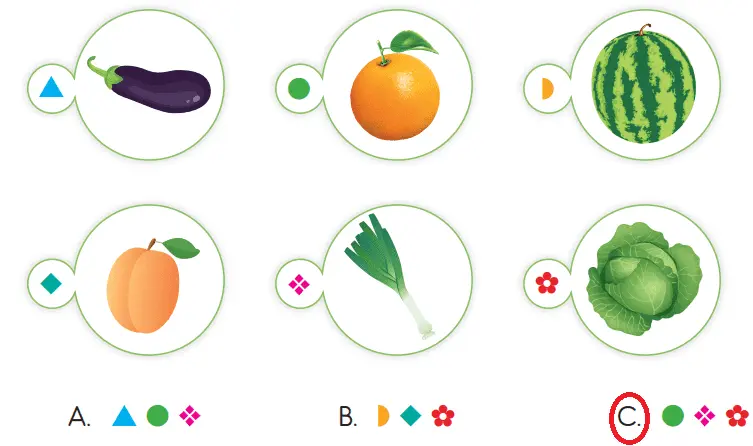 3. Sınıf Hayat Bilgisi Ders Kitabı Sayfa 113 Cevapları SDR İpekyolu Yayıncılık