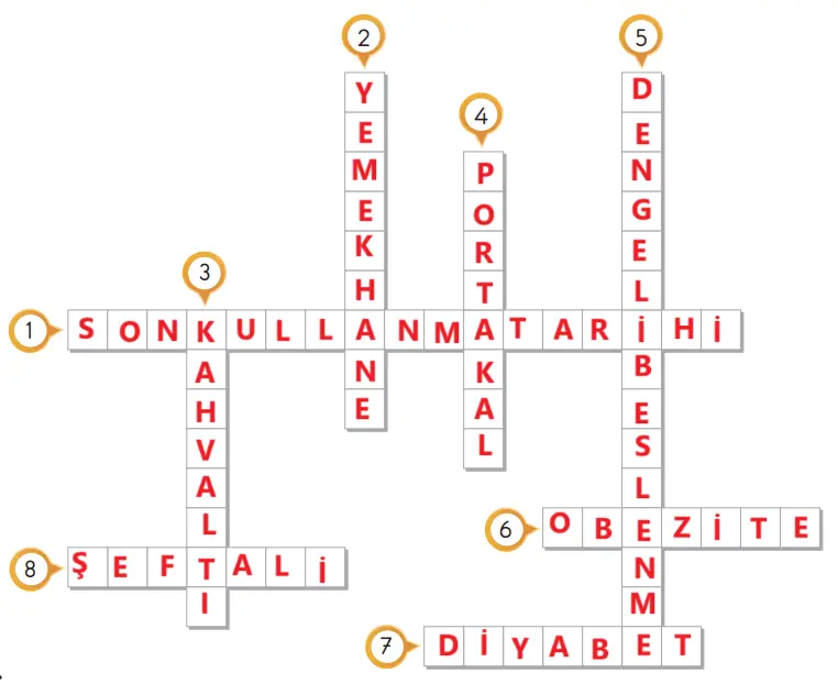 3. Sınıf Hayat Bilgisi Ders Kitabı Sayfa 114 Cevapları SDR İpekyolu Yayıncılık