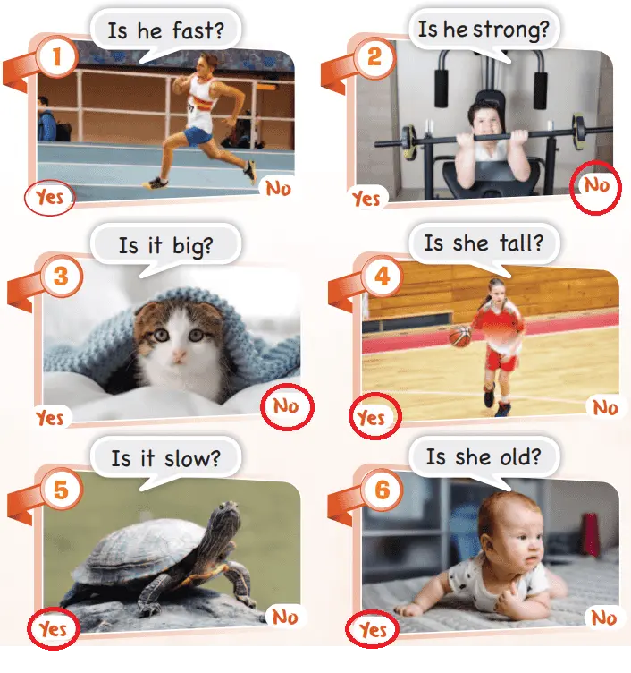 3. Sınıf İngilizce Ders Kitabı Sayfa 48 Cevapları SDR Dikey Yayıncılık