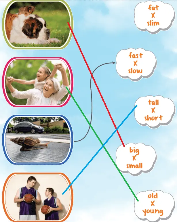 3. Sınıf İngilizce Ders Kitabı 54-55-56-57-58-59-60. Sayfa Cevapları SDR Dikey Yayıncılık 3. Sınıf İngilizce Ders Kitabı Sayfa 57 Cevapları SDR Dikey Yayıncılık