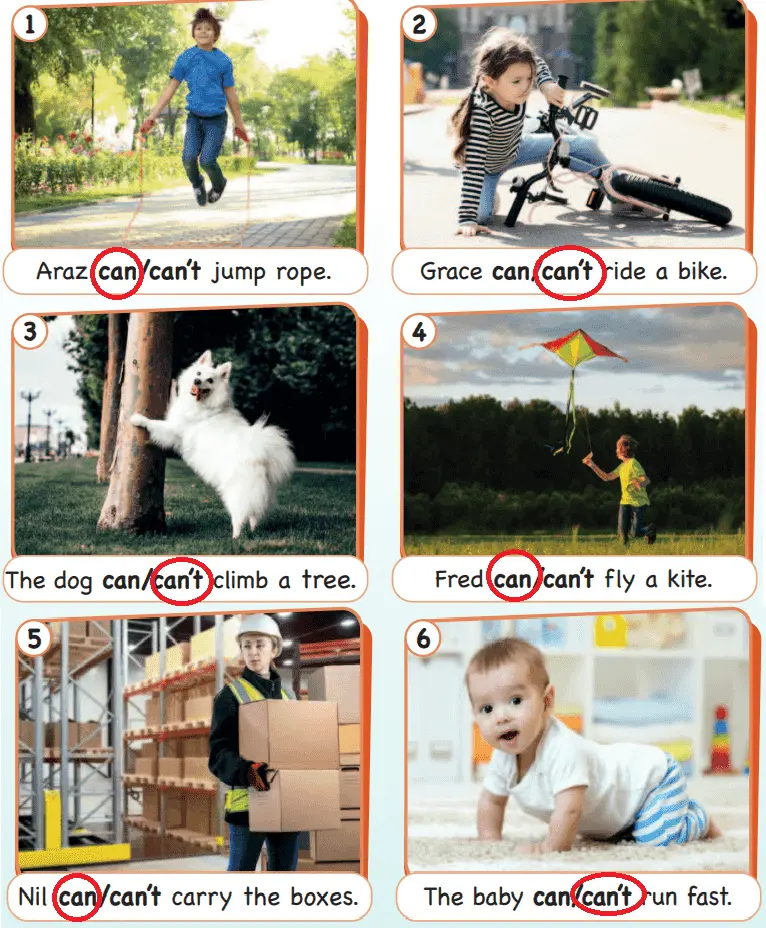 3. Sınıf İngilizce Ders Kitabı 54-55-56-57-58-59-60. Sayfa Cevapları SDR Dikey Yayıncılık 3. Sınıf İngilizce Ders Kitabı Sayfa 59 Cevapları SDR Dikey Yayıncılık