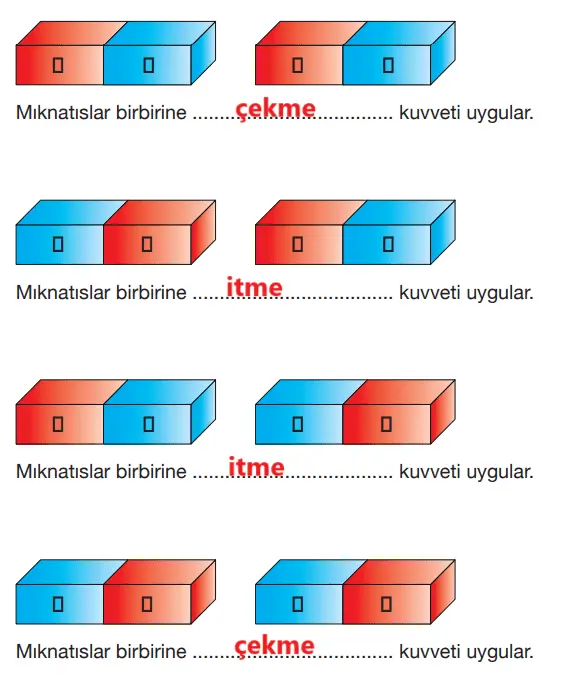 4. Sınıf Fen Bilimleri Ders Kitabı Sayfa 107 Cevapları Pasifik Yayıncılık