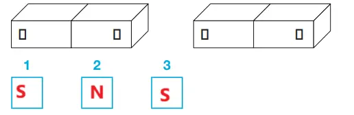 4. Sınıf Fen Bilimleri Ders Kitabı Sayfa 111-112-113-114-115. Cevapları Pasifik Yayıncılık 4. Sınıf Fen Bilimleri Ders Kitabı Sayfa 113 Cevapları Pasifik Yayıncılık2