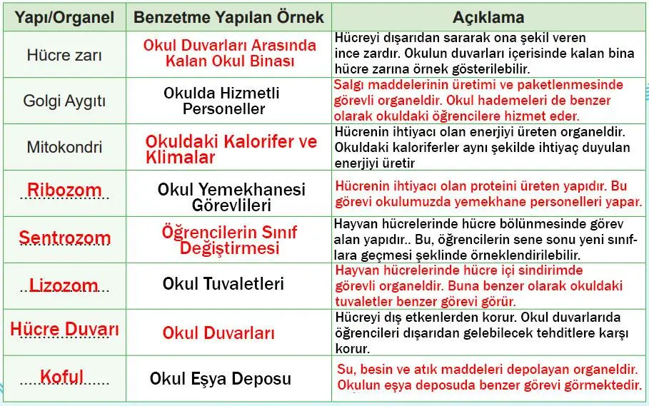5. Sınıf Fen Bilimleri Ders Kitabı Sayfa 103-105-106-110-111-112. Cevapları MEB Yayınları 5. Sınıf Fen Bilimleri Ders Kitabı Sayfa 111 Cevapları MEB Yayınları