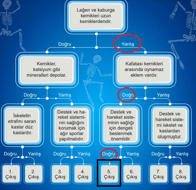5. Sınıf Fen Bilimleri Ders Kitabı Sayfa 130-132-133-134-138-139. Cevapları MEB Yayınları 5. Sınıf Fen Bilimleri Ders Kitabı Sayfa 139 Cevapları MEB Yayınları