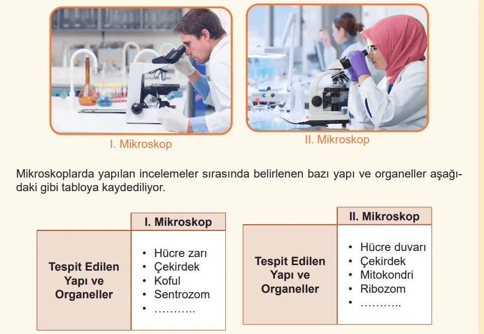 5. Sınıf Fen Bilimleri Ders Kitabı Sayfa 142 Cevapları MEB Yayınları